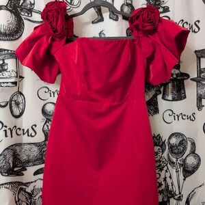 DO+BE Red Mini Dress with Rosette Puff Sleeves